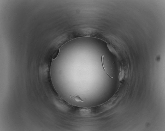 X0000096710279200802121232