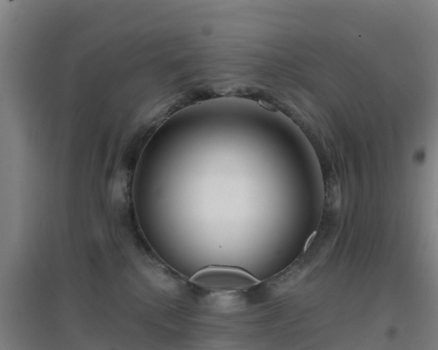 X0000096710280200802121232