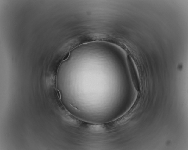 X0000096710281200802121232