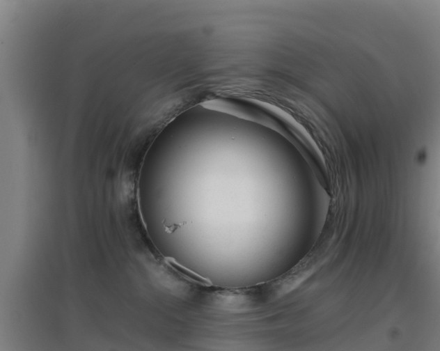 X0000096710284200802121232