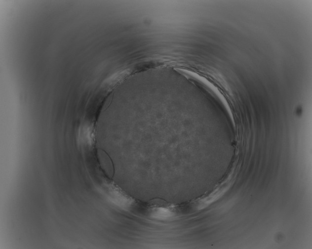 X0000096710285200802121232