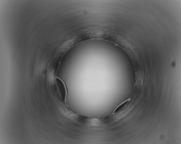 X0000096710287200802121232