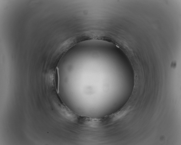 X0000096710288200802121232