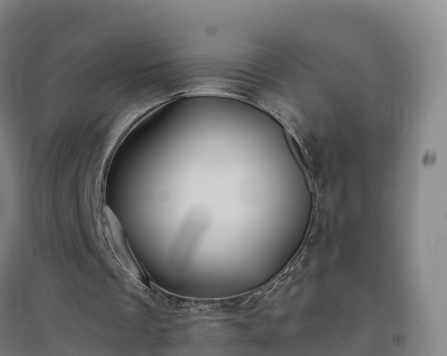 X0000096710289200802121231