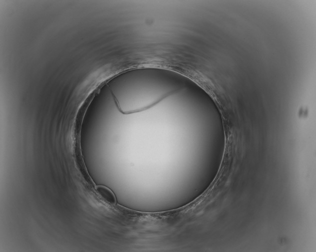 X0000096710290200802121231