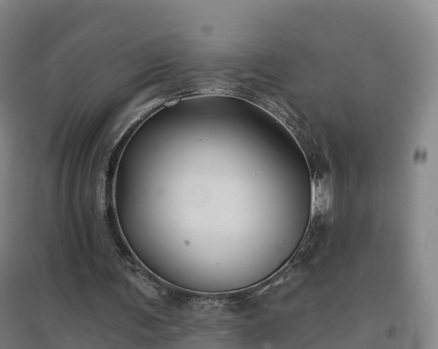 X0000096710291200802121231