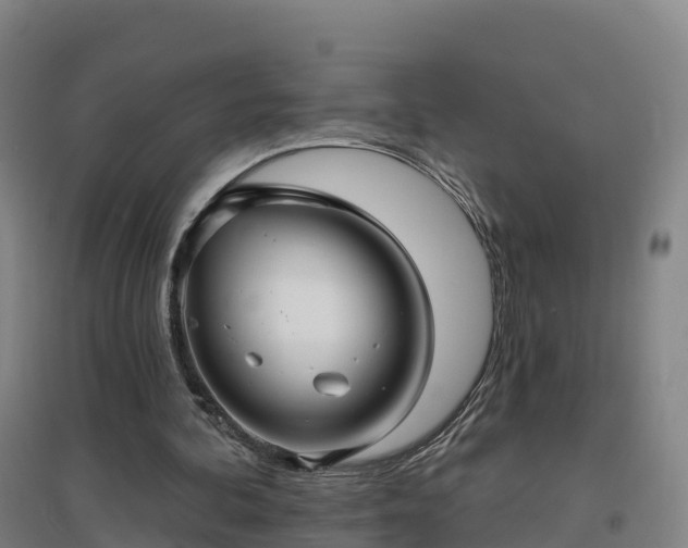 X0000096710292200802121231