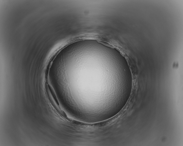 X0000096710293200802121231