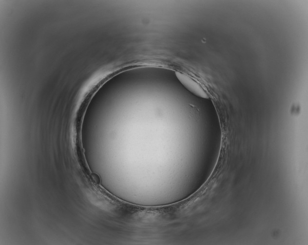 X0000096710294200802121231