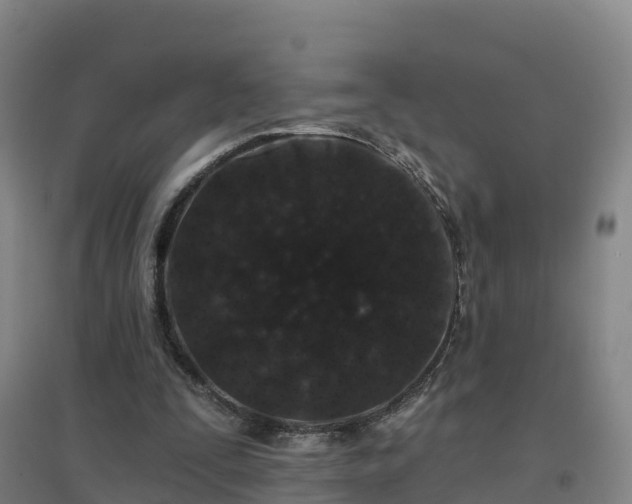 X0000096710295200802121231