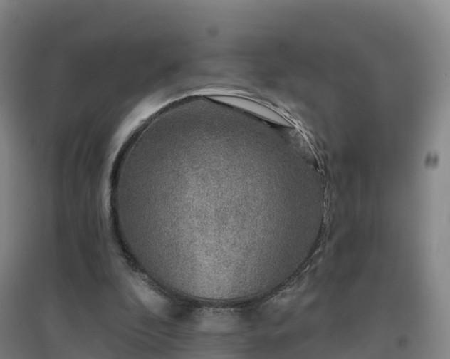 X0000096710296200802121231