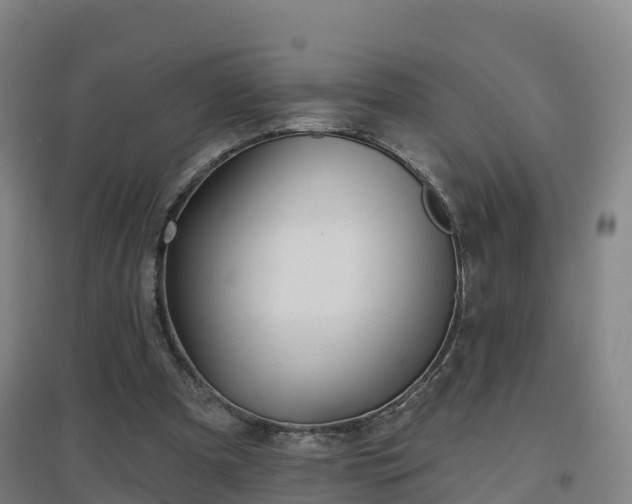 X0000096710297200802121231