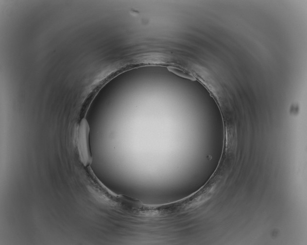 X0000096710301200802121231