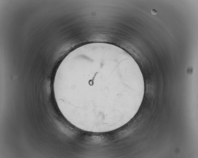 X0000096710302200802121231