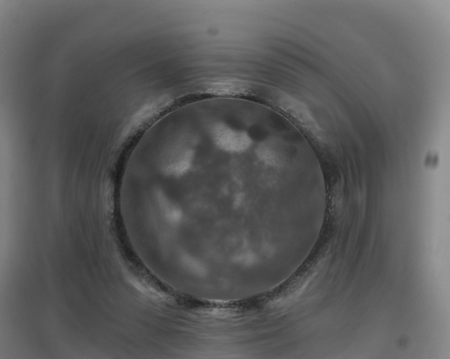 X0000096710303200802121231