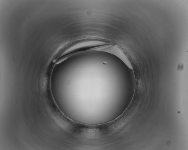 X0000096710304200802121231