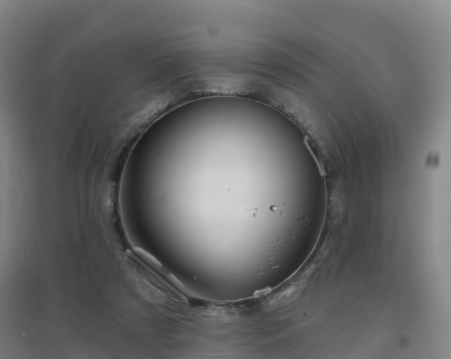 X0000096710305200802121231