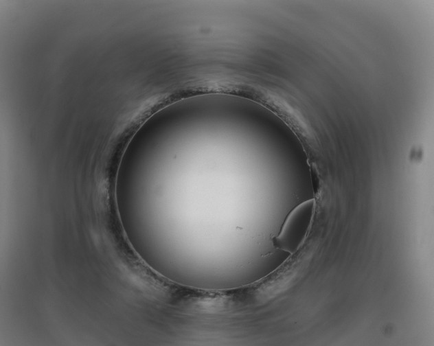 X0000096710306200802121231