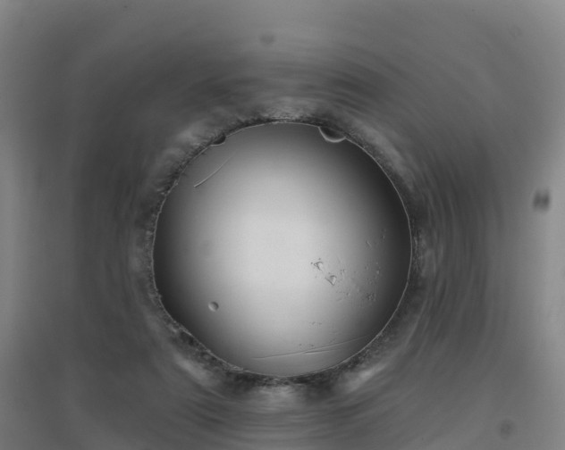 X0000096710307200802121231