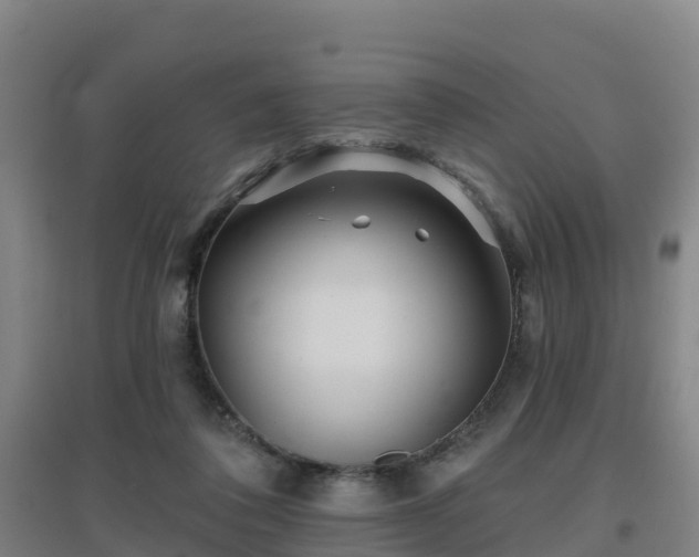 X0000096710308200802121231