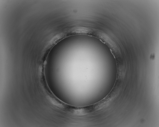 X0000096710309200802121231