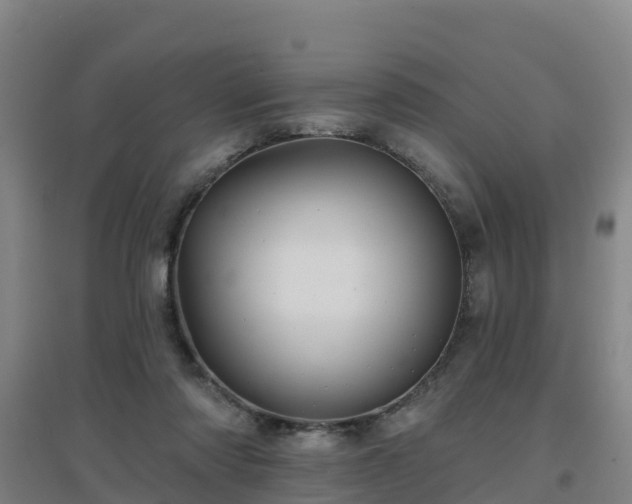 X0000096710310200802121231