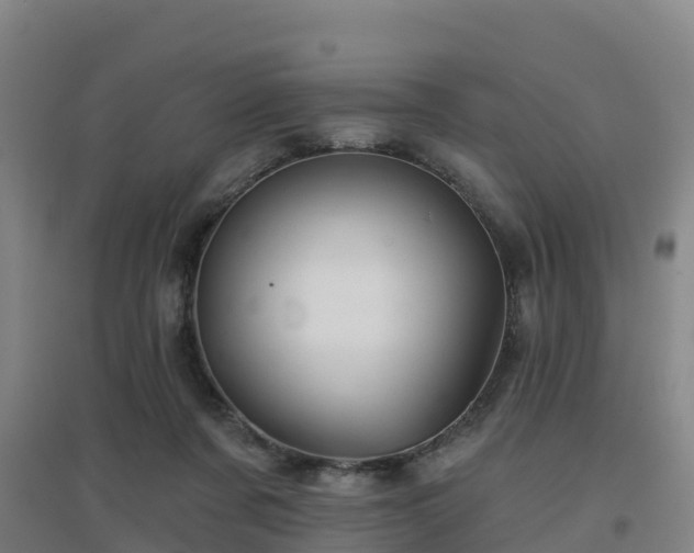 X0000096710311200802121231