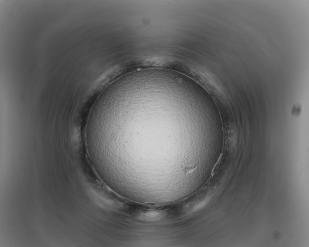 X0000096710312200802121231