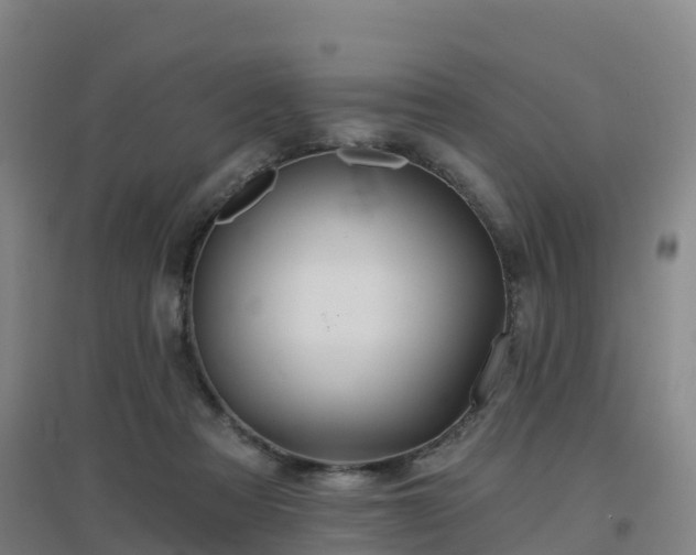 X0000096710313200802121231