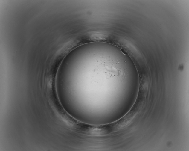 X0000096710315200802121231