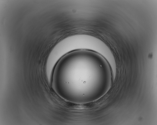 X0000096710316200802121231