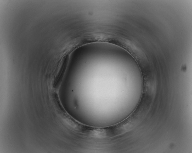 X0000096710317200802121231