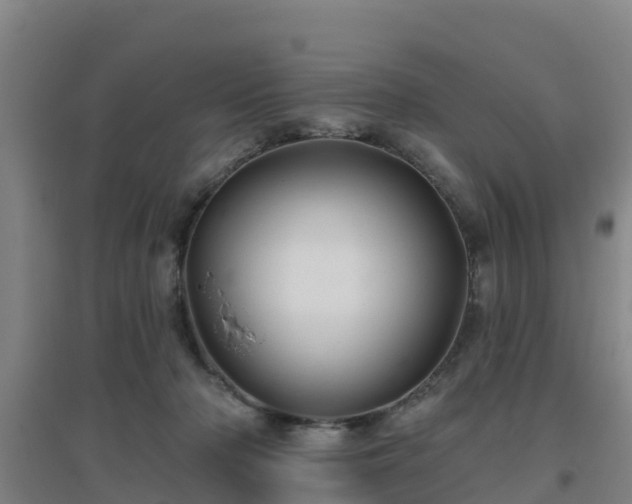 X0000096710318200802121231