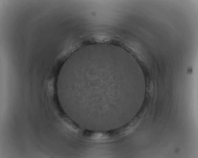 X0000096710319200802121231