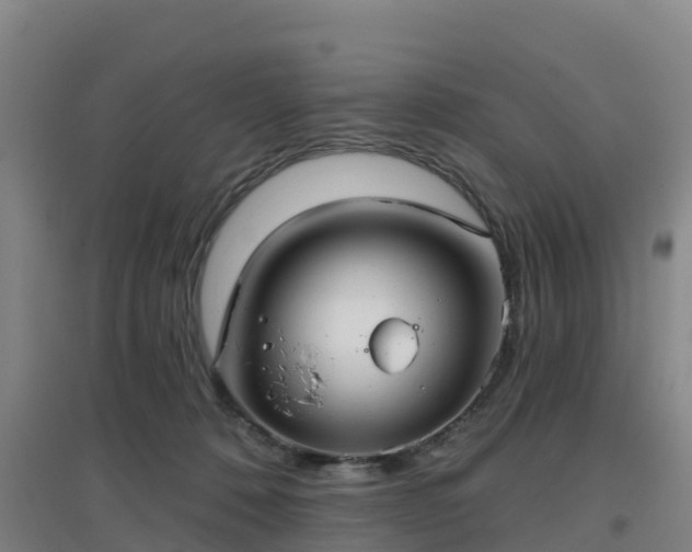 X0000096710320200802121231