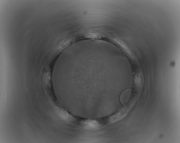 X0000096710322200802121231