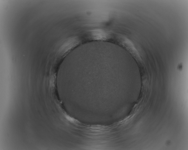 X0000096710325200802121231