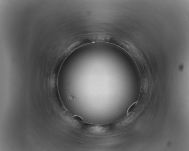 X0000096710326200802121231