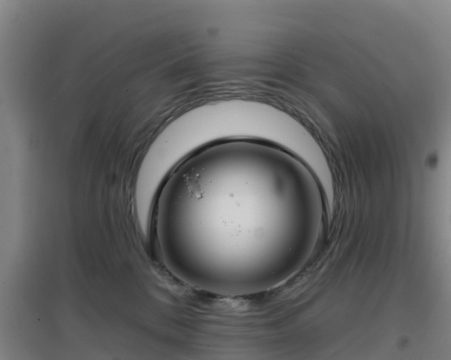 X0000096710328200802121231