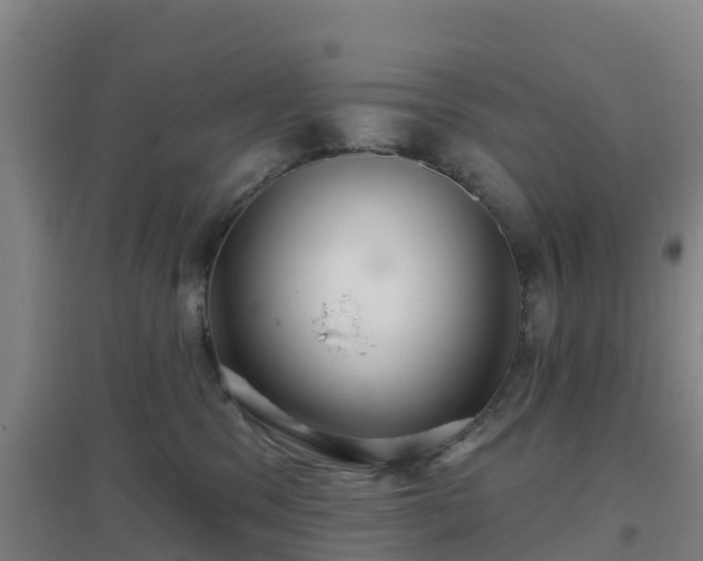 X0000096710329200802121231