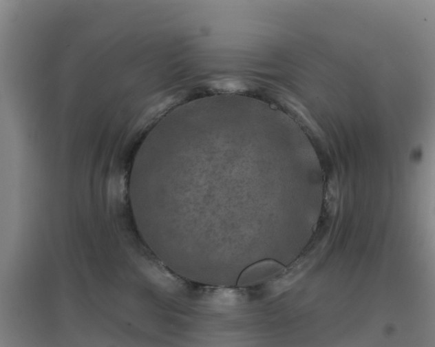 X0000096710330200802121231