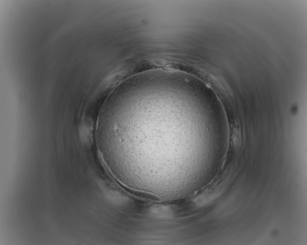 X0000096710332200802121231