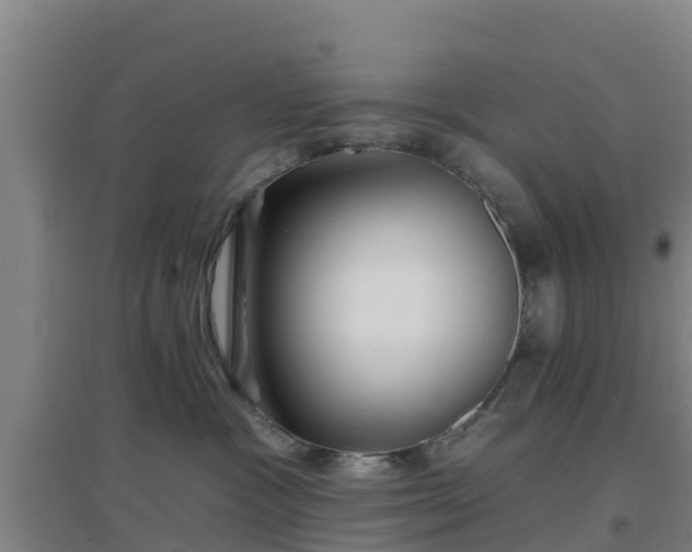 X0000096710333200802121231