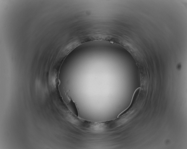 X0000096710334200802121230