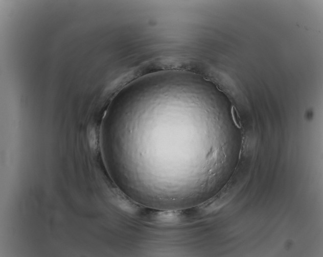 X0000096710335200802121230