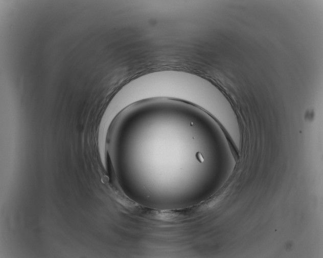 X0000096710336200802121230