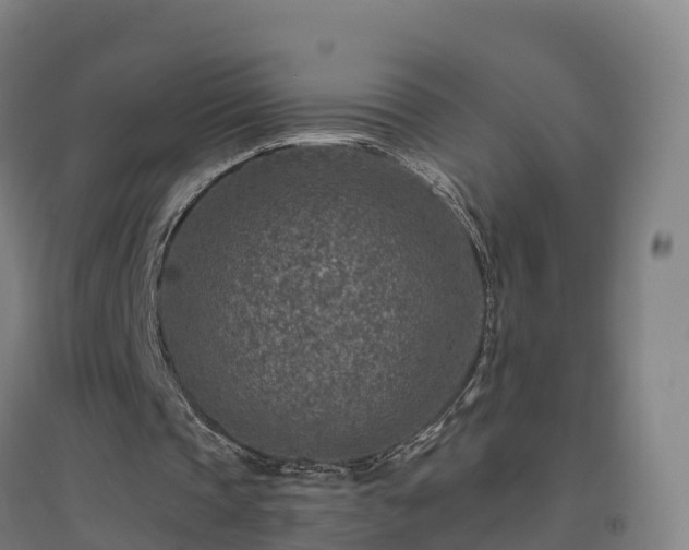 X0000096710337200802121230