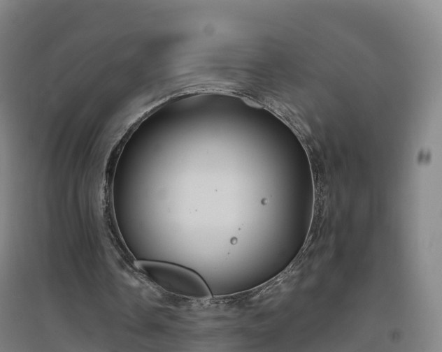 X0000096710338200802121230