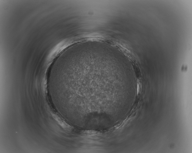 X0000096710339200802121230