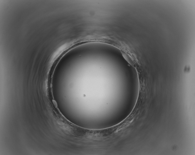 X0000096710340200802121230